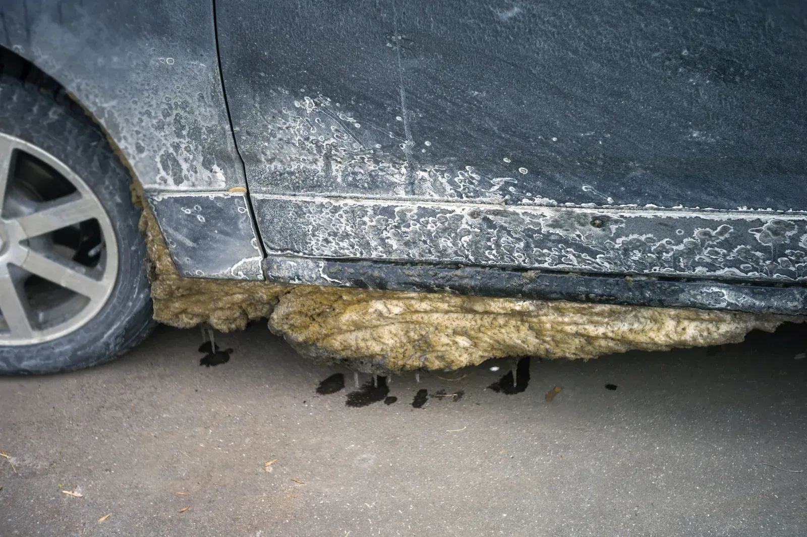 Car coated in a film of white road salt residue during an Ontario winter